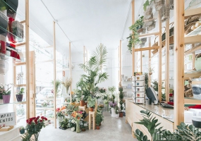 花店装饰效果图,花店装饰实景图