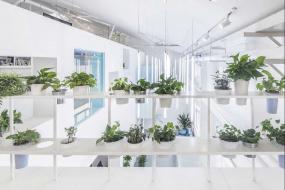 高档工作室装修图片大全