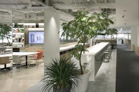 办公室绿色植物装饰设计效果图片