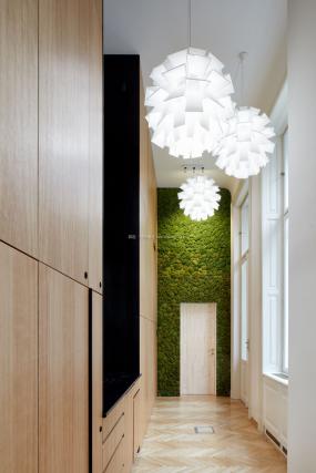 办公室植物装修实物图片