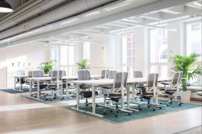 2018年办公室植物装修效果图