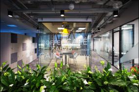 办公室植物设计装修效果图片