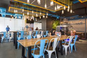 最新办公室植物装饰实景图