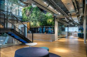 办公室绿植设计效果图片