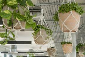 最新办公室绿色植物设计装饰效果图片