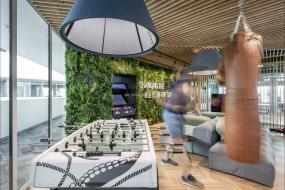 办公室绿色植物装修高清图片