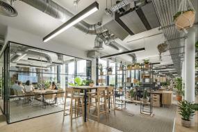 最新办公室绿色植物设计装修图片