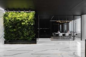 办公室绿色植物装饰效果图