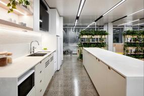 办公室盆栽设计装修图片