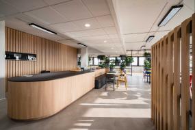 办公室盆栽装修效果图片