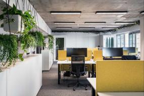 办公室盆栽装修装潢效果图