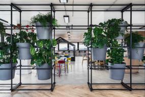 办公室盆栽装修高清图片