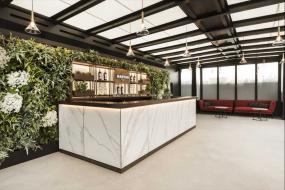 办公室盆栽装修图片