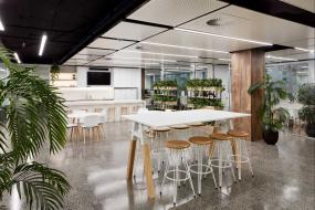 办公室盆栽设计装饰效果图片