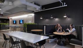 办公室盆栽设计装潢图片