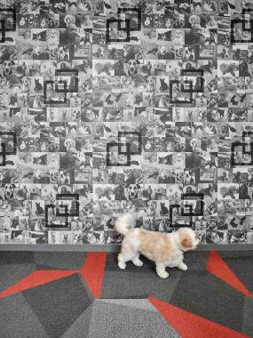 会计公司设计装饰图片